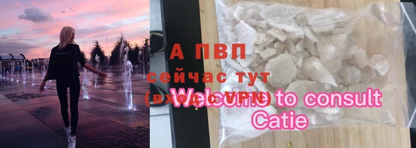 мет Алексин