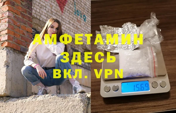 мет Алексин