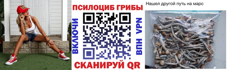 Псилоцибиновые грибы Cubensis  купить наркотик  Болхов 